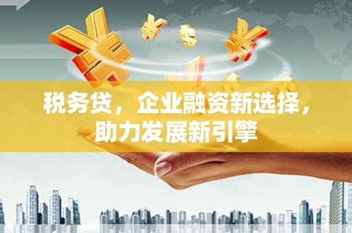 靖州税务贷，企业融资新选择，助力发展新引擎