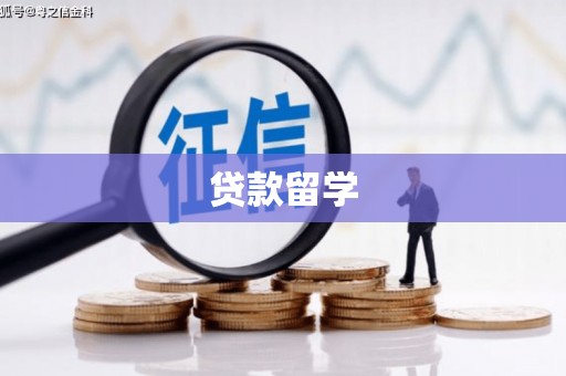 开江贷款留学