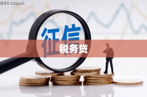 余庆税务贷