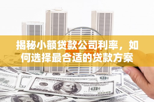 上犹揭秘小额贷款公司利率，如何选择最合适的贷款方案