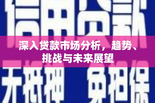 万柏林深入贷款市场分析，趋势、挑战与未来展望