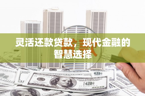 东西湖灵活还款贷款，现代金融的智慧选择