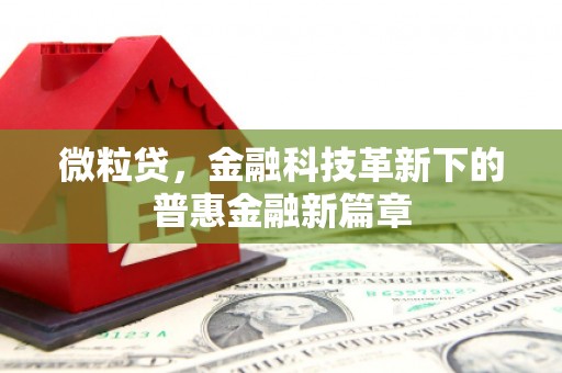 酉阳微粒贷，金融科技革新下的普惠金融新篇章