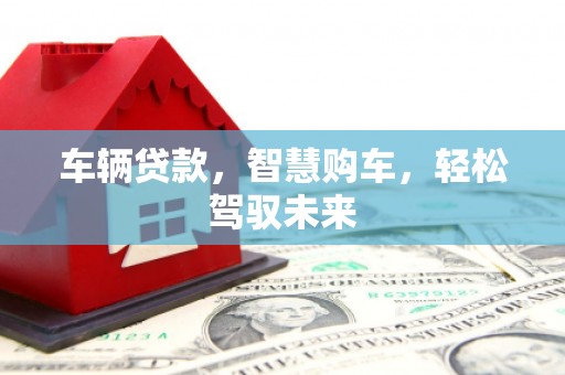 秀水车辆贷款，智慧购车，轻松驾驭未来