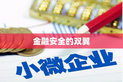 贺兰金融安全的双翼