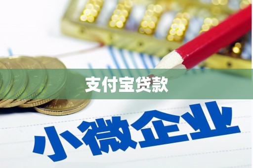 二水支付宝贷款
