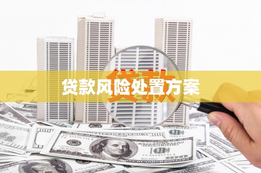 双江贷款风险处置方案