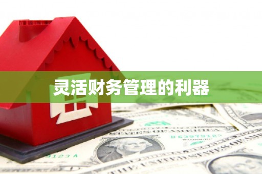 藁城灵活财务管理的利器