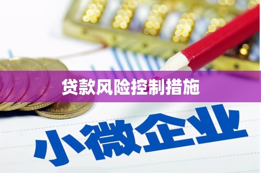 蒙阴贷款风险控制措施