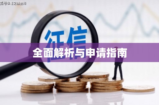 安平全面解析与申请指南