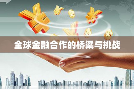 林西全球金融合作的桥梁与挑战