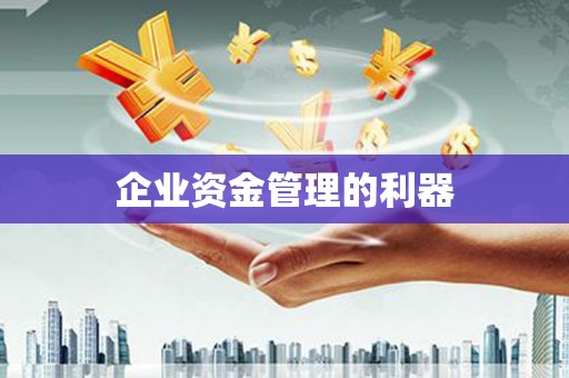 浔阳企业资金管理的利器