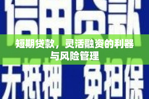 港南短期贷款，灵活融资的利器与风险管理