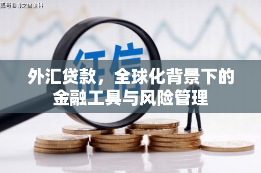 乐亭外汇贷款，全球化背景下的金融工具与风险管理